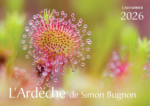 Nos calendriers